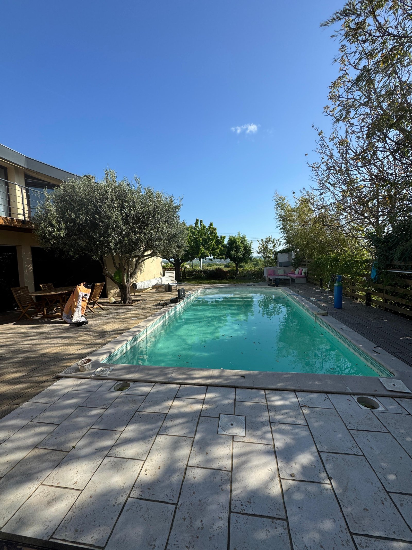 Piscine extérieure avec oliviers — diagnostic GL Innov