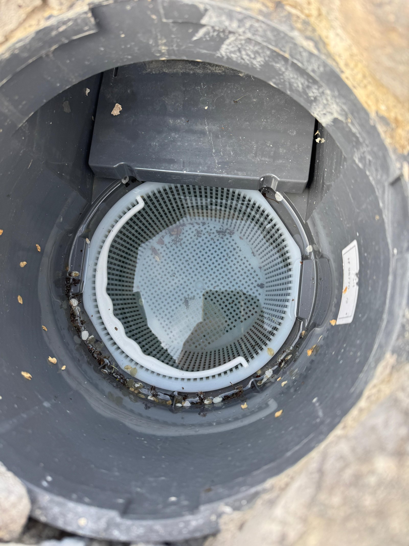 Inspection d'un skimmer de piscine — point de fuite potentiel